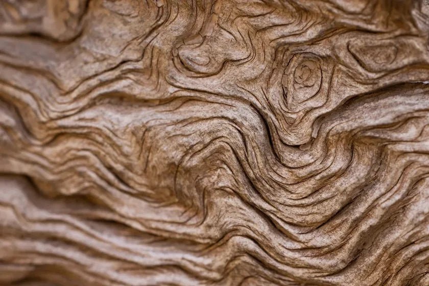 Macro detail of aged timber grain — the natural origin of a plant-derived material, in close depth.