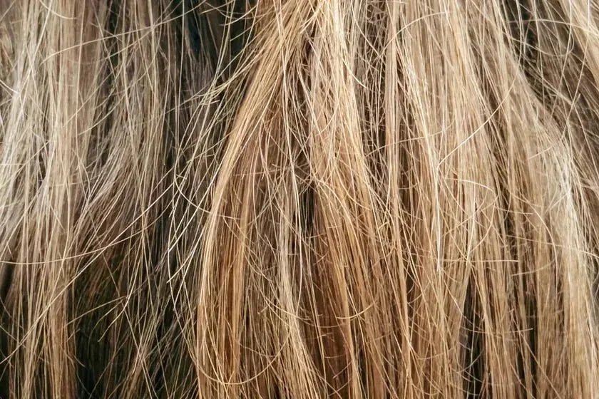 Close-up of loose, tousled blonde hair in soft light